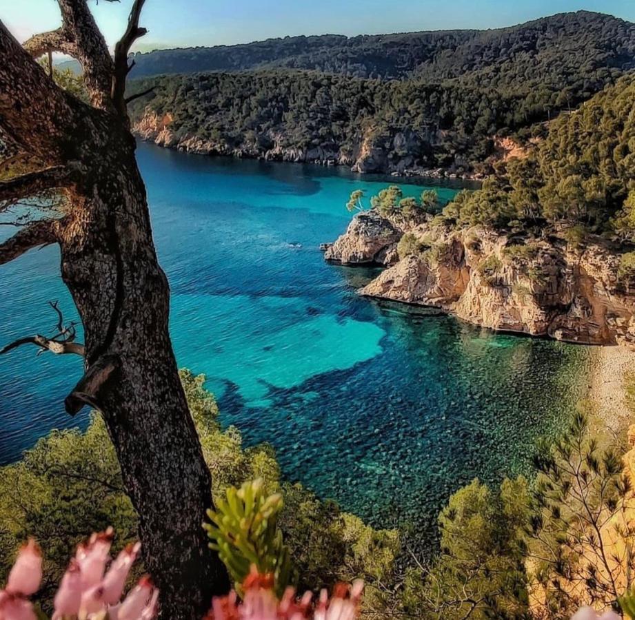 Logement Vue Mer Splendide - Situe A 50 Metres Du Bord De Mer Et 2 Minutes Des Plages - Bandolina Екстериор снимка