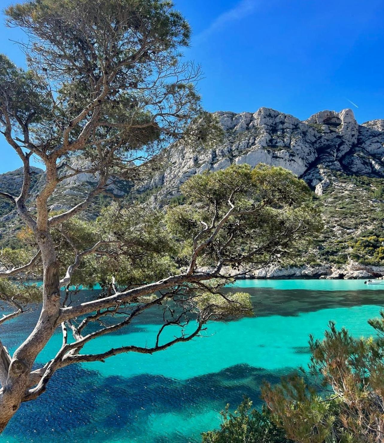Logement Vue Mer Splendide - Situe A 50 Metres Du Bord De Mer Et 2 Minutes Des Plages - Bandolina Екстериор снимка